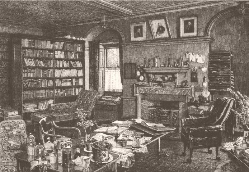 Image alt text